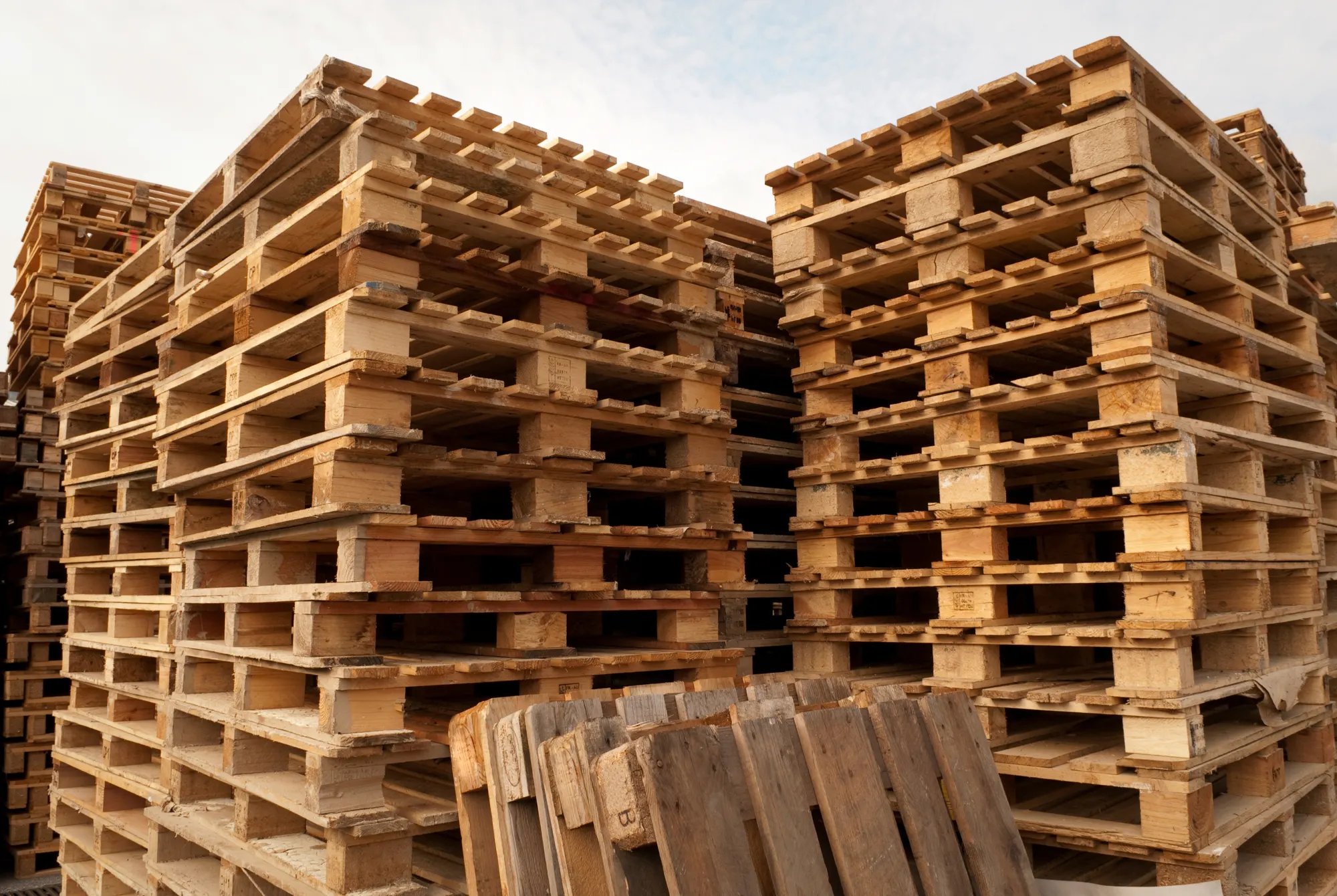 Paletas de madera apiladas en el patio de la empresa